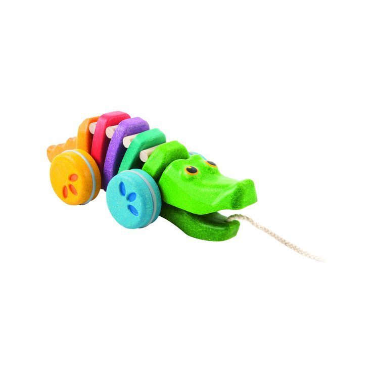 Rainbow Alligator