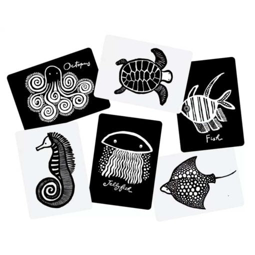 Wee Gallery Art Cards - Sea Collection